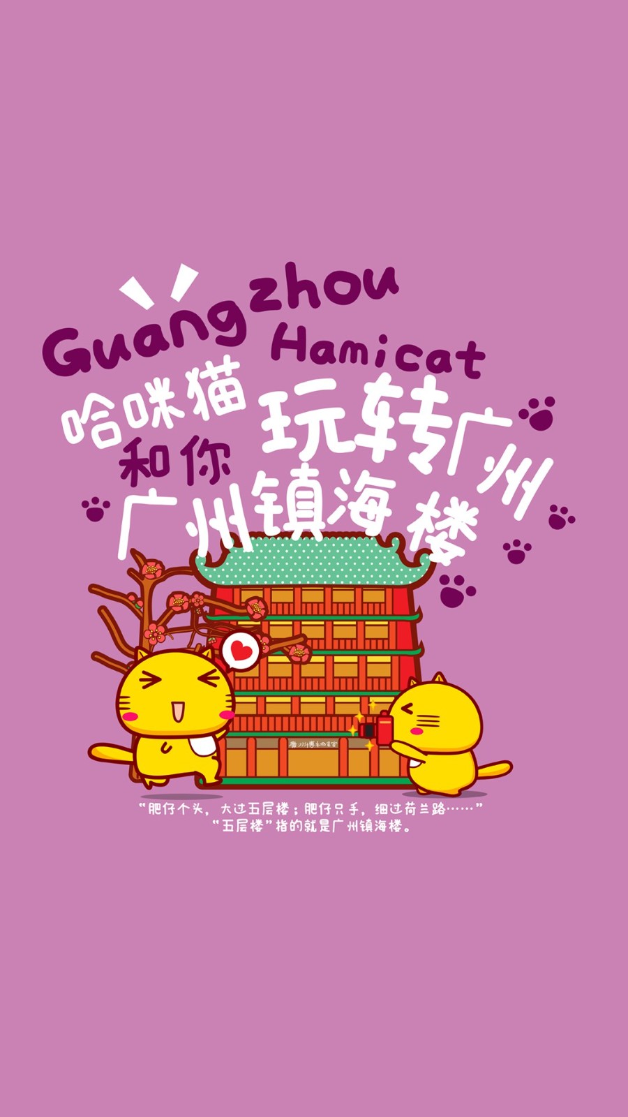 哈密猫猫